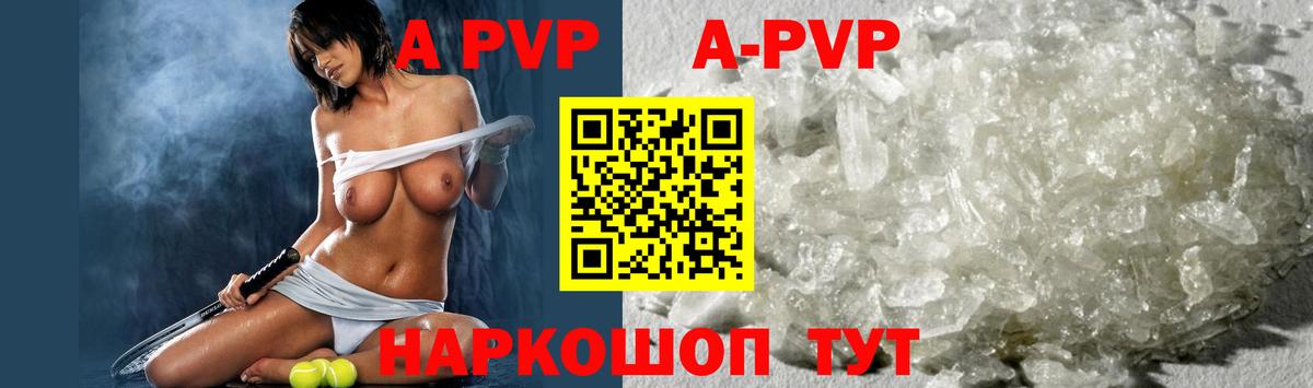 A-PVP СК Гурьевск