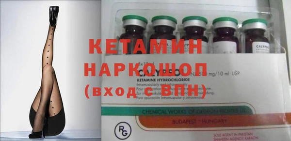 сатива Осташков