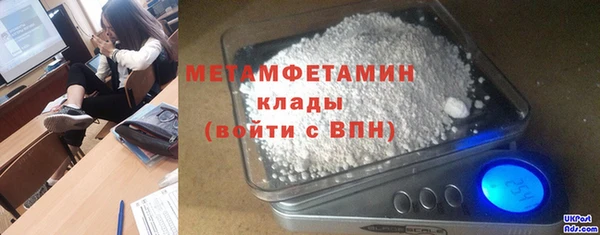 сатива Осташков