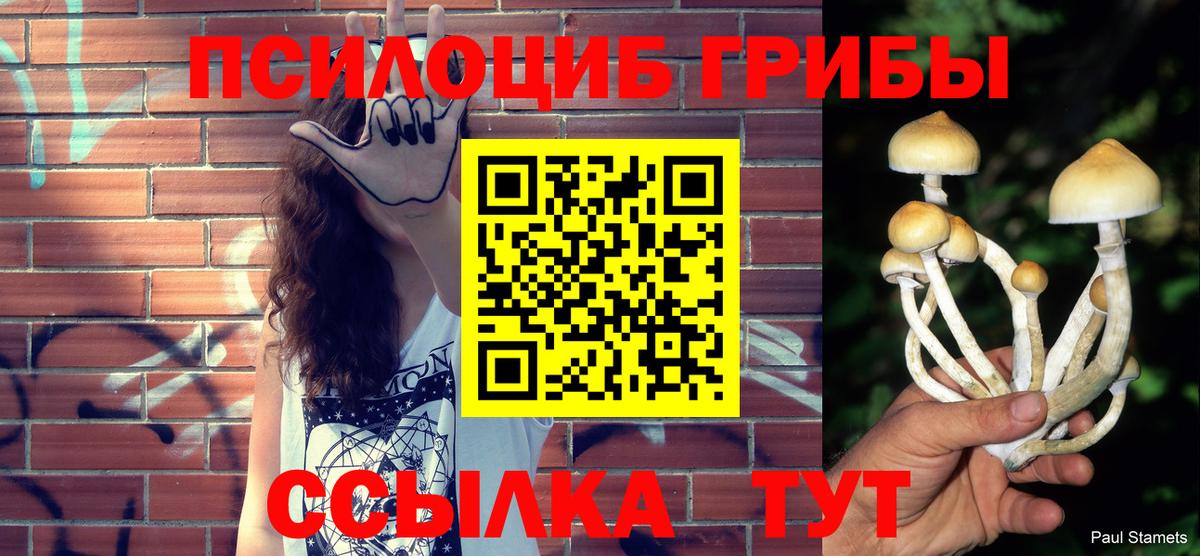 Галлюциногенные грибы Magic Shrooms Гурьевск