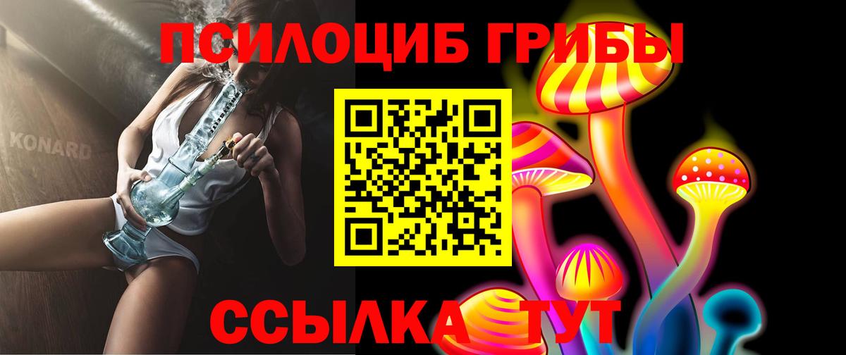 Псилоцибиновые грибы Cubensis  закладка  Псилоцибиновые грибы MAGIC MUSHROOMS  Гурьевск  Вход с VPN 